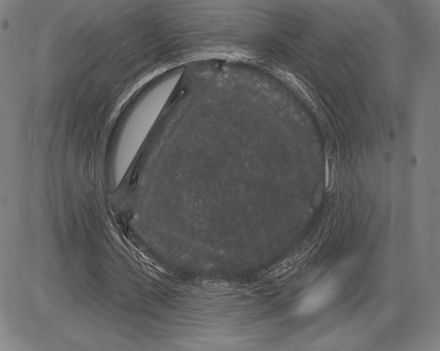 X0000081620531200702121642