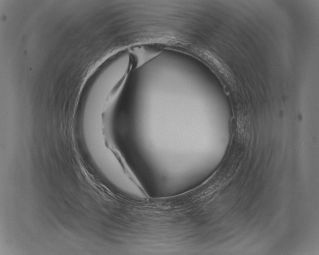 X0000081620532200702121642