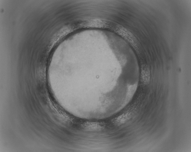 X0000081620534200702121642