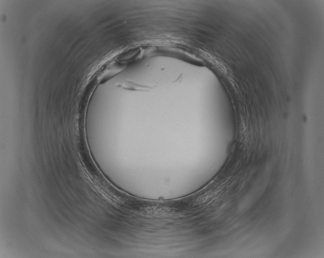 X0000081620535200702121642