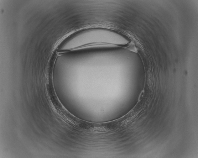 X0000081620536200702121642