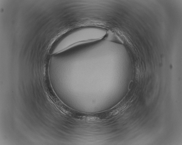 X0000081620539200702121642