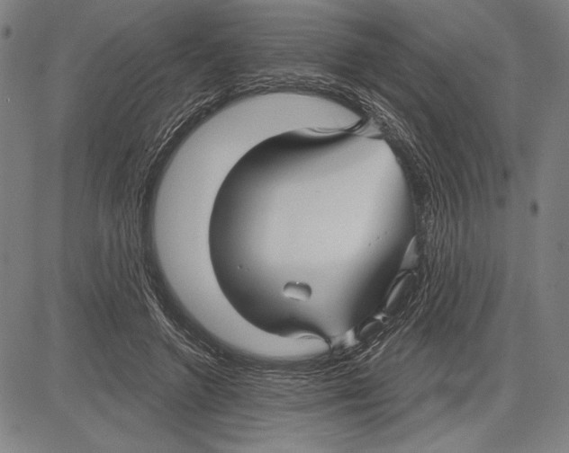 X0000081620546200702121642