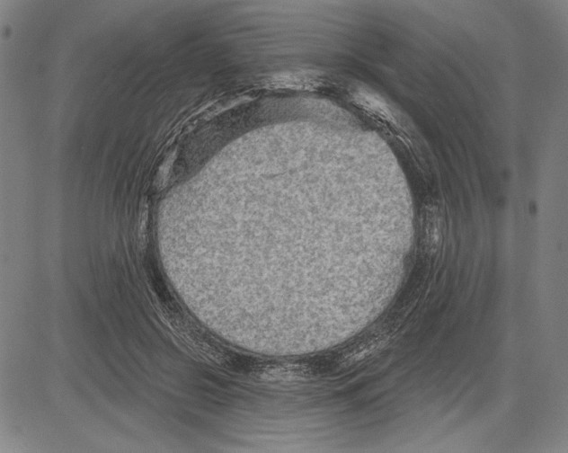 X0000081620550200702121642