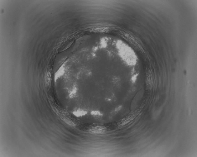 X0000081620551200702121642