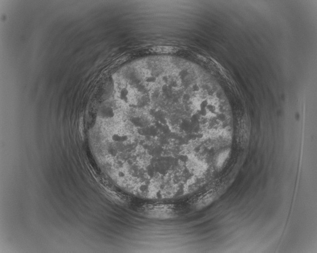 X0000081620553200702121642
