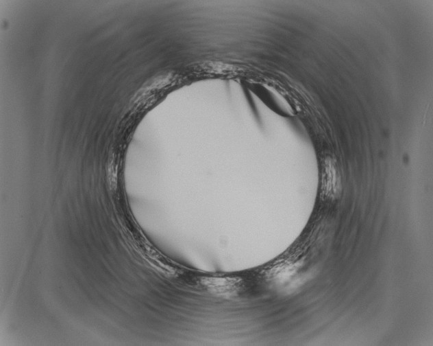 X0000081620558200702121642