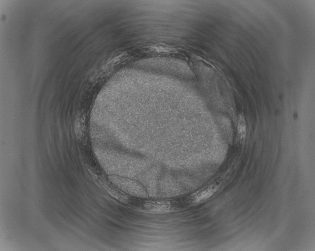 X0000081620559200702121642