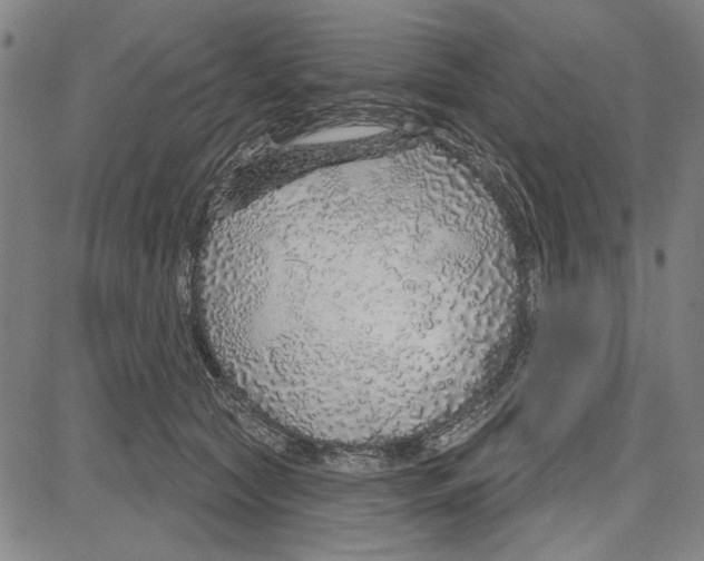 X0000081620561200702121642