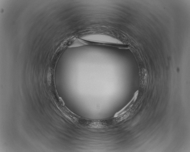 X0000081620562200702121642