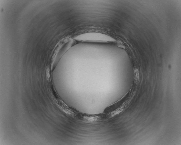 X0000081620564200702121642