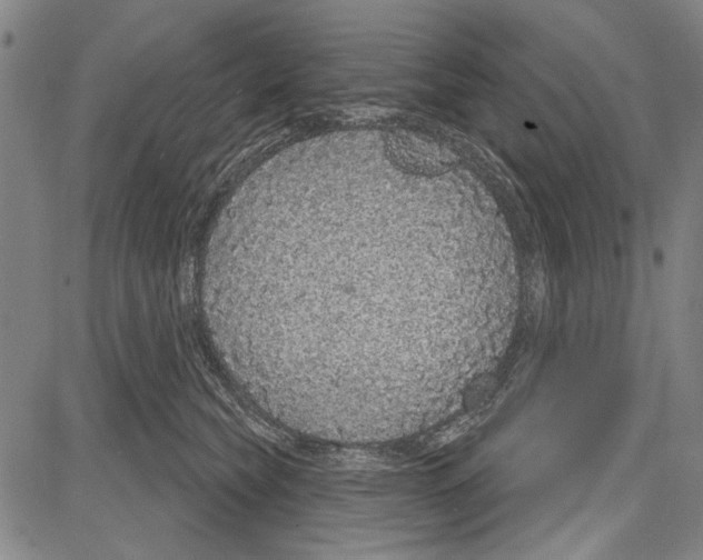 X0000081620565200702121642