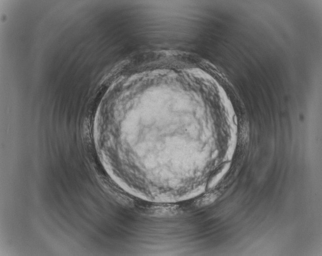 X0000081620571200702121643