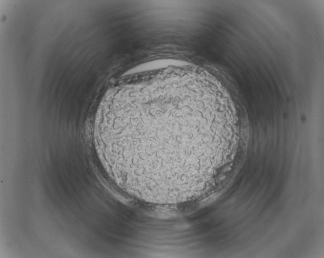 X0000081620573200702121643