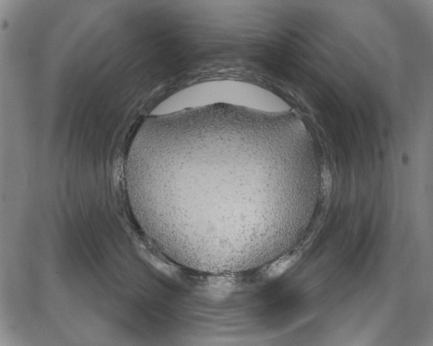 X0000081620574200702121643