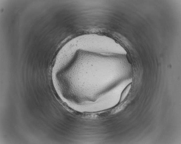 X0000081620576200702121643