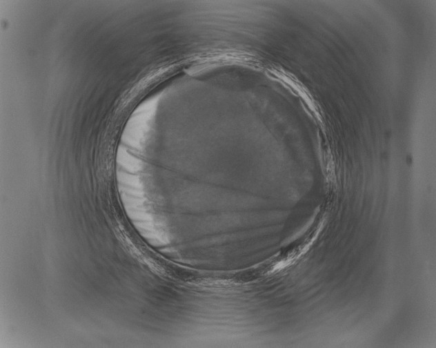 X0000081620577200702121642