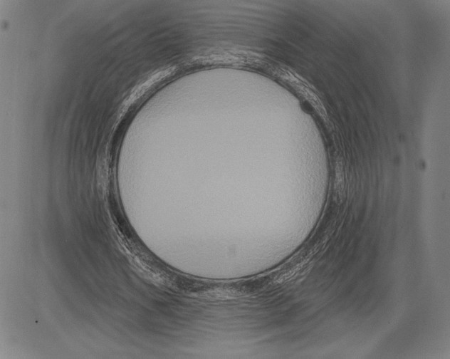 X0000081620578200702121642