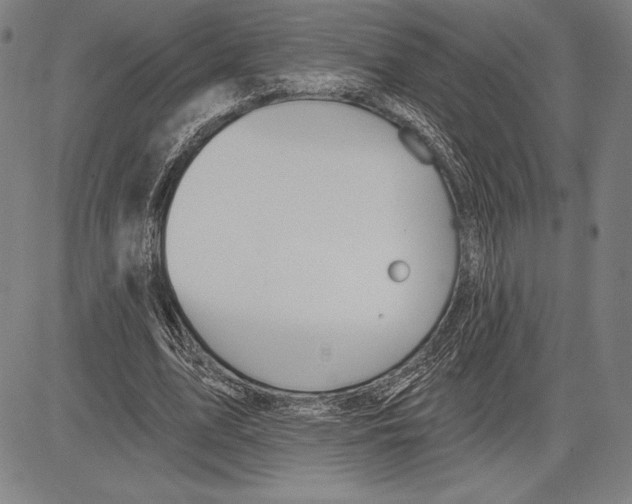 X0000081620583200702121642