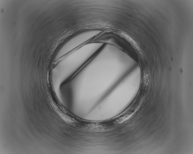 X0000081620589200702121642