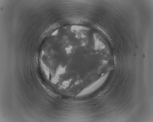 X0000081620590200702121642