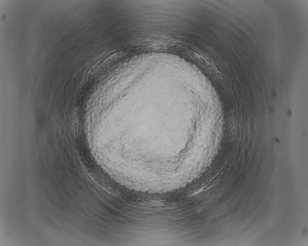 X0000081620594200702121642