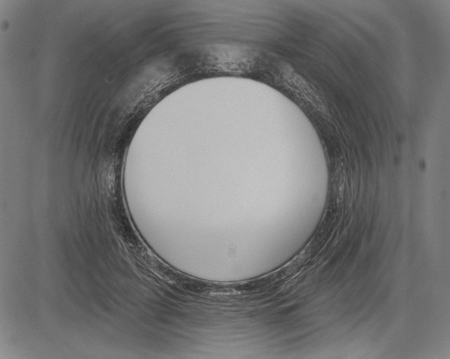 X0000081620595200702121642