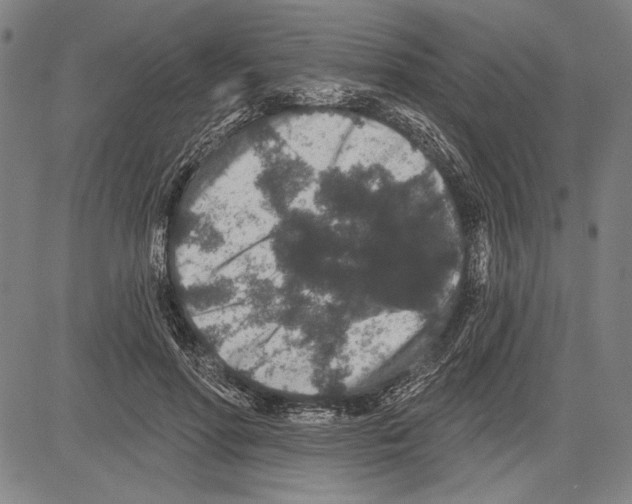 X0000081620598200702121641