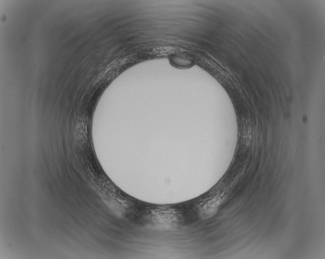 X0000081620603200702121641