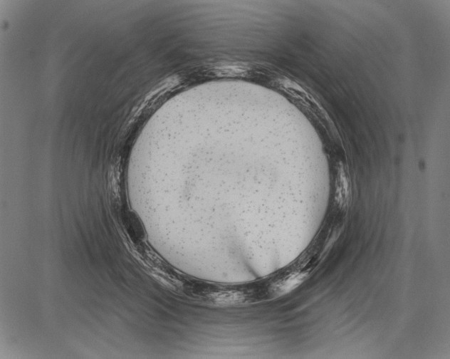 X0000081620604200702121641