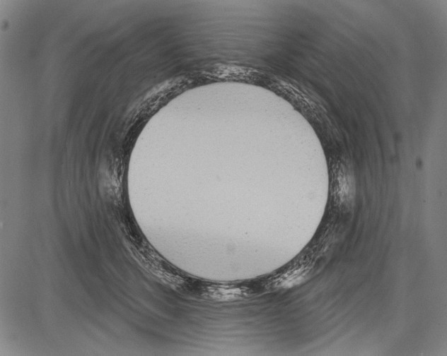 X0000081620607200702121641