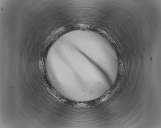 X0000081620609200702121641