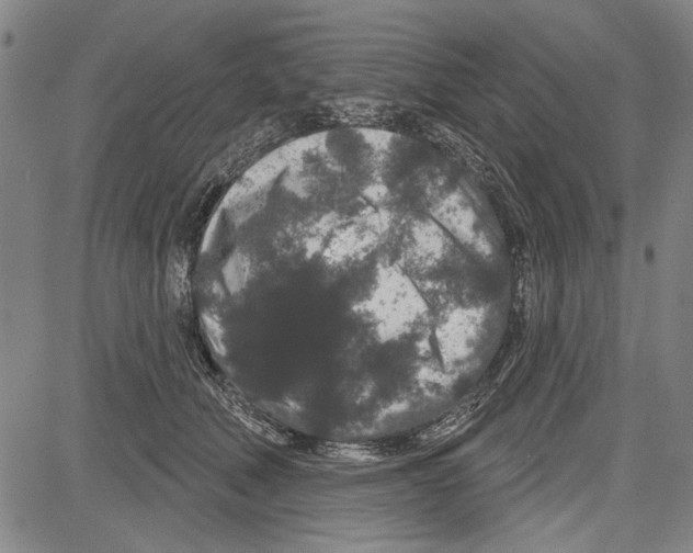 X0000081620610200702121641