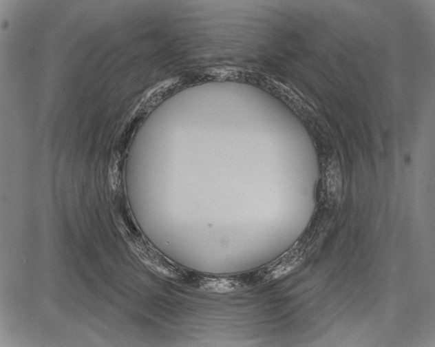 X0000081620611200702121641