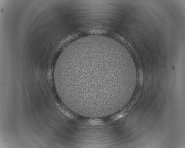 X0000081620619200702121641