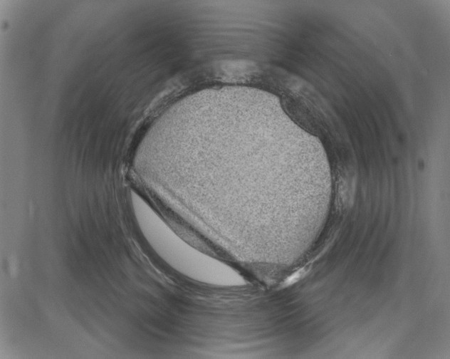 X0000081620620200702121641