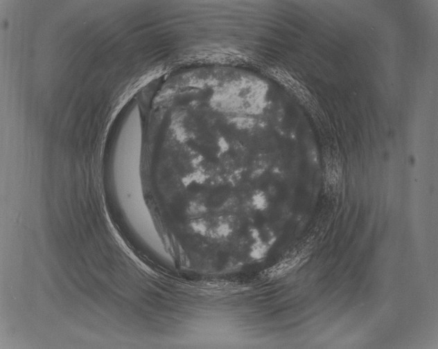 X0000081620630200702121640