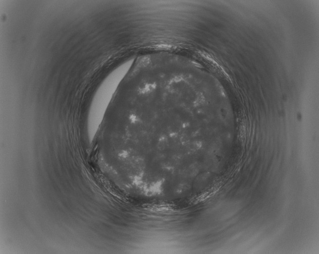 X0000081620643200702121641