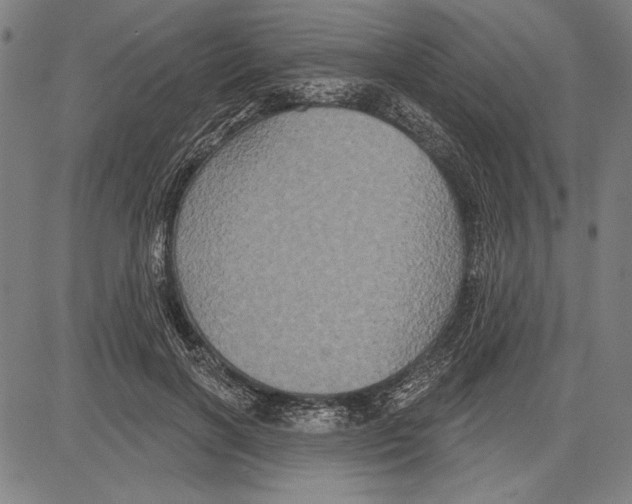 X0000081620646200702121641