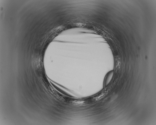 X0000081620651200702121641