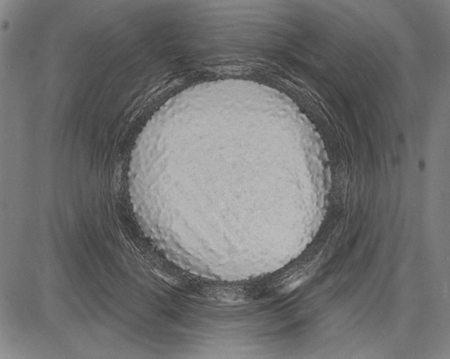X0000081620652200702121641