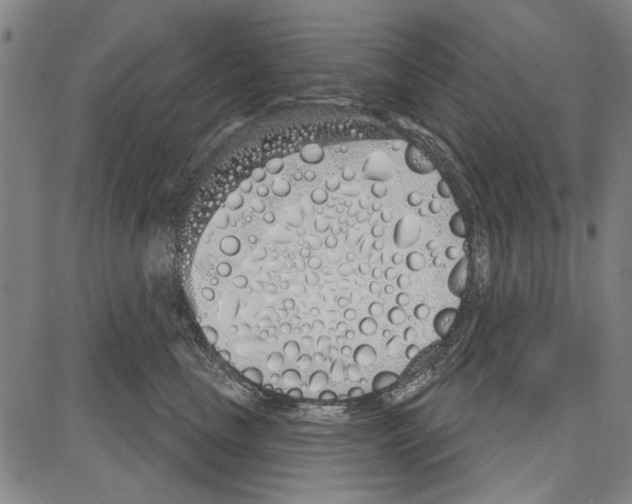 X0000081620665200702121641