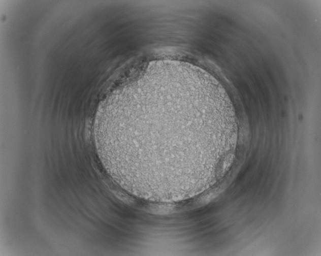 X0000081620671200702121641