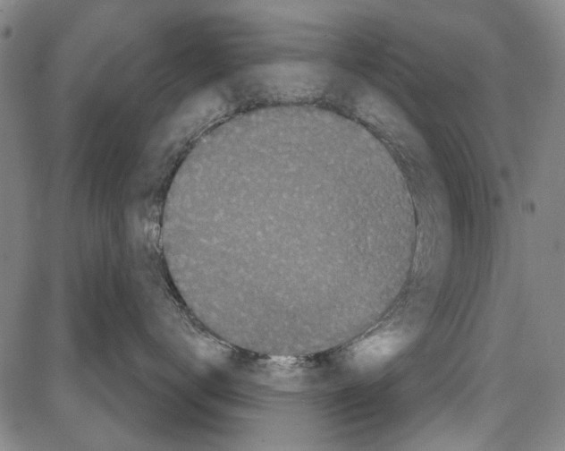 X0000081620672200702121641