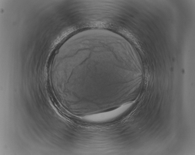 X0000081620674200702121640