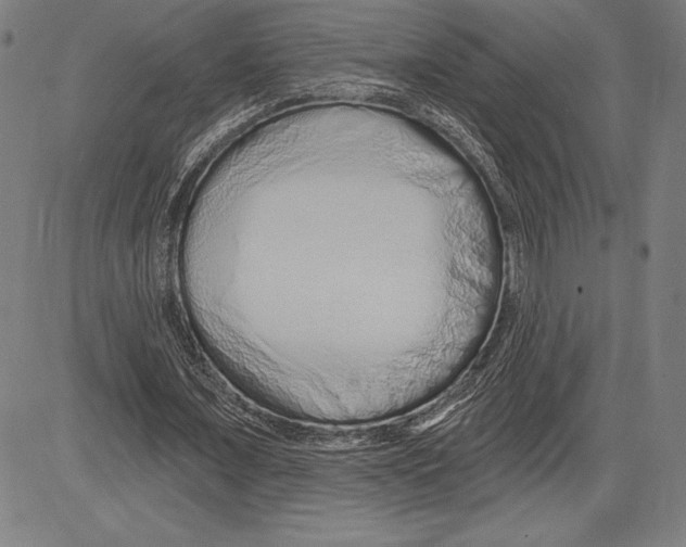X0000081620675200702121640