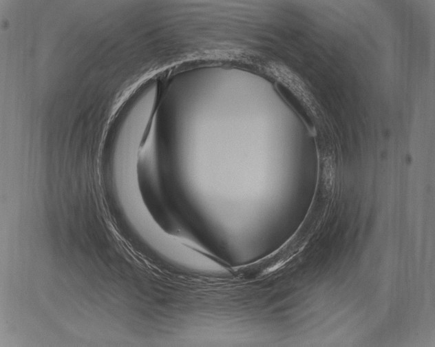 X0000081620676200702121640