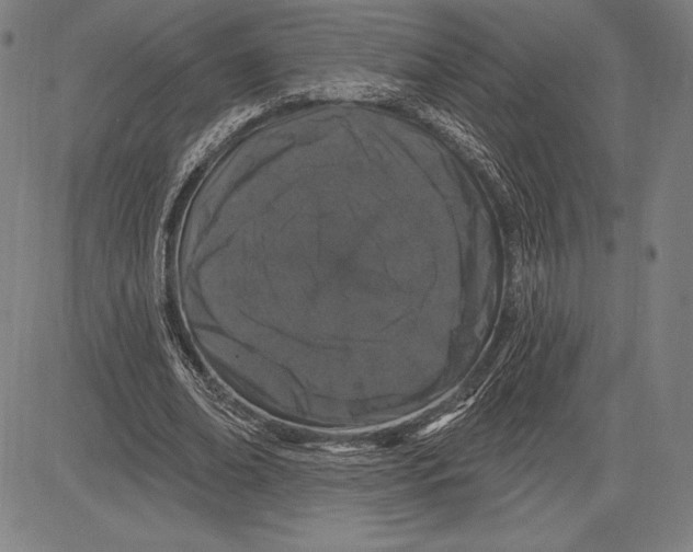 X0000081620678200702121640