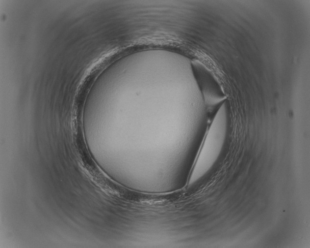 X0000081620680200702121640