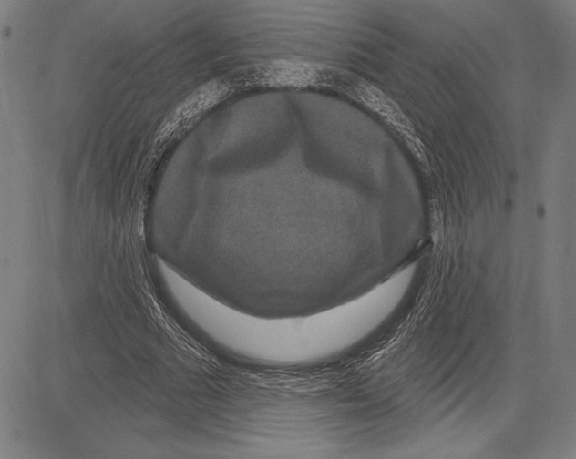 X0000081620681200702121640